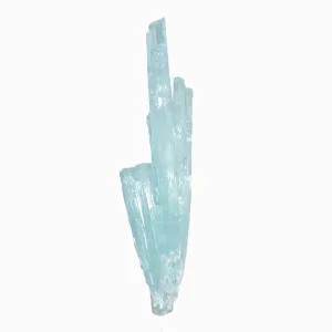 Aquamarine Spray 116.5 gram 7.2 inch Natural Gem Crystal - Pakistan