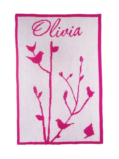 Baby Birds Blanket
