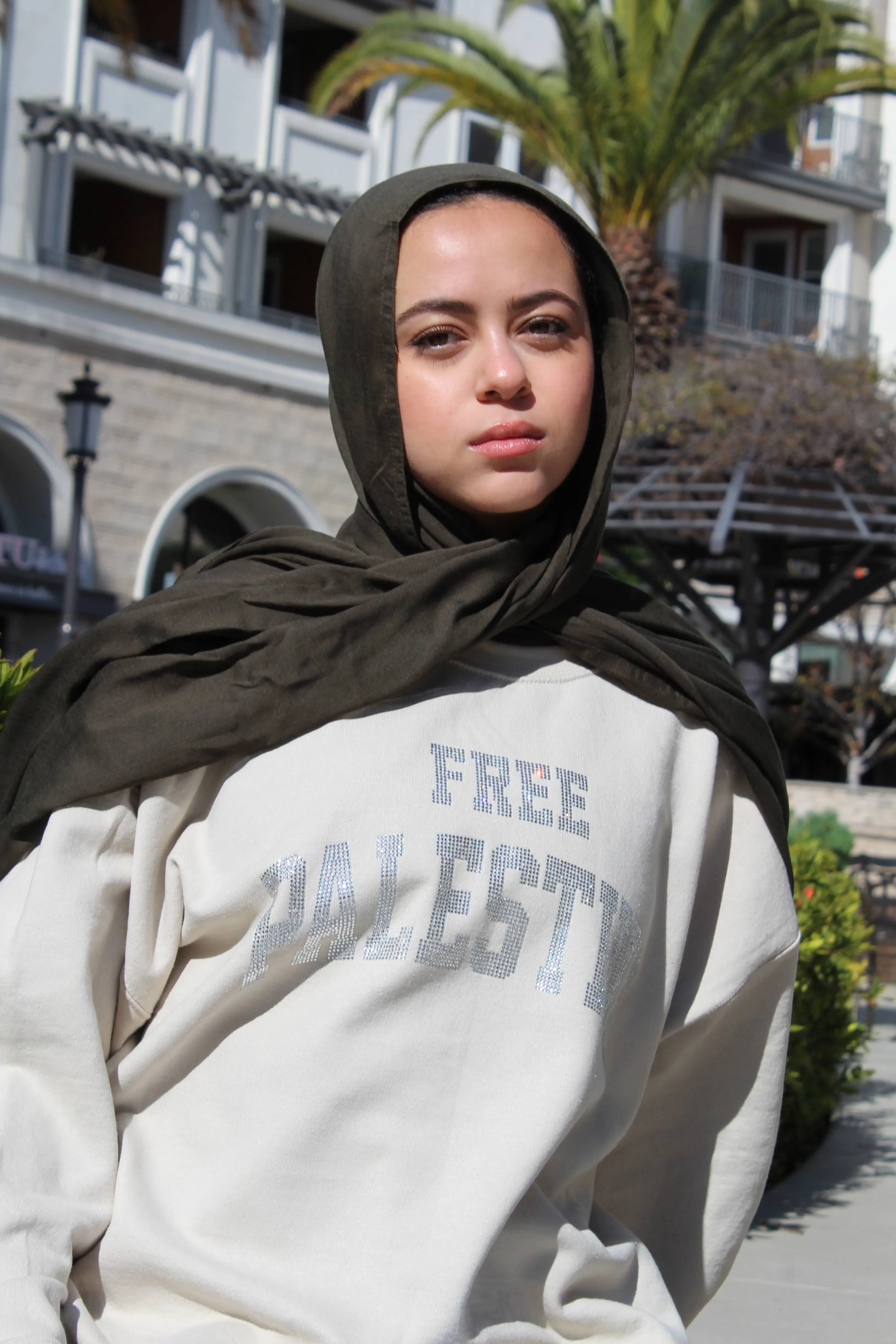 Beige Rhinestone Palestine Sweater