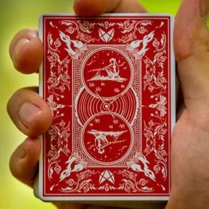 Bonfires Red (includes Card Magic Course) by Adam Wilber and Vulpine