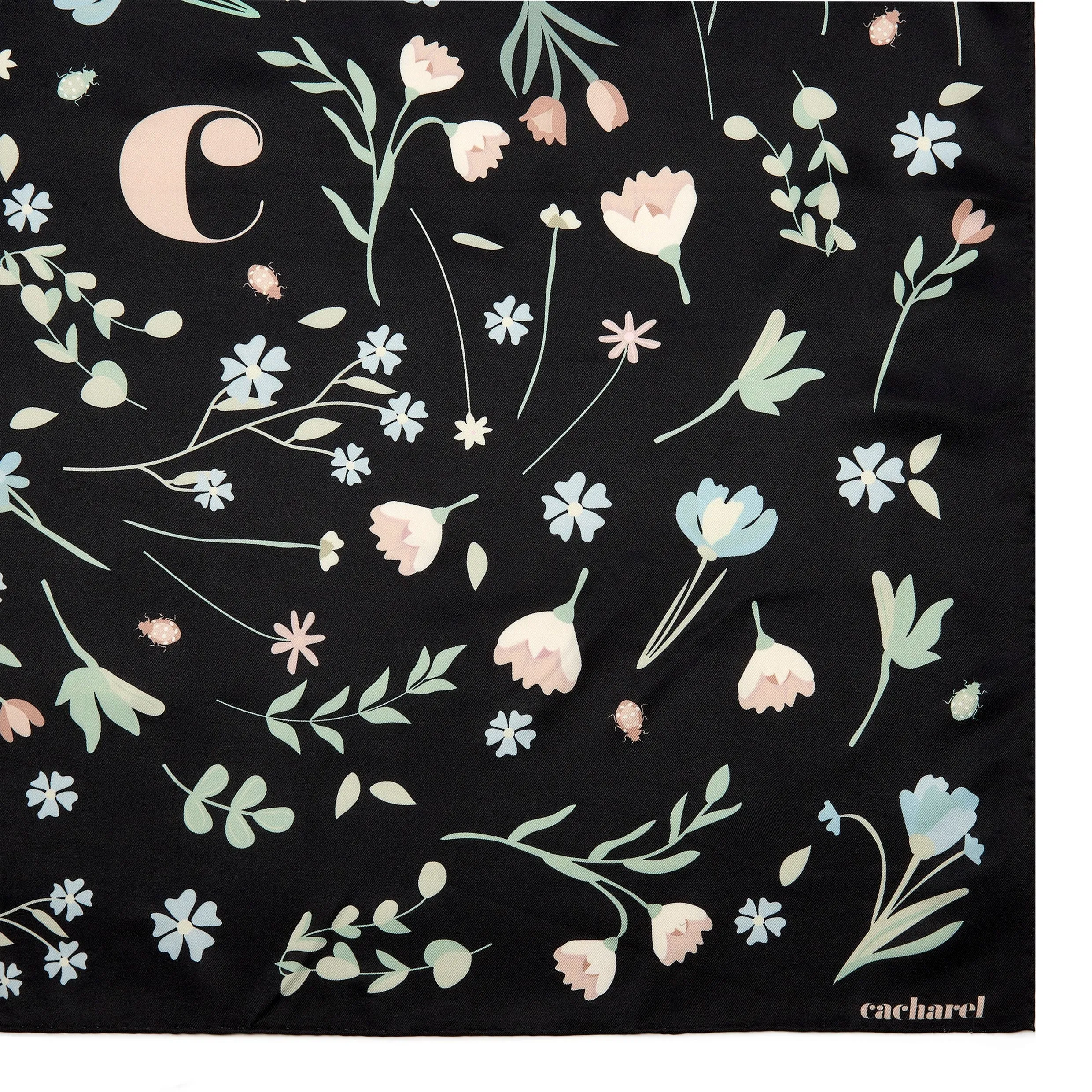 CACHAREL CFM438A - Scarf Ambre Black