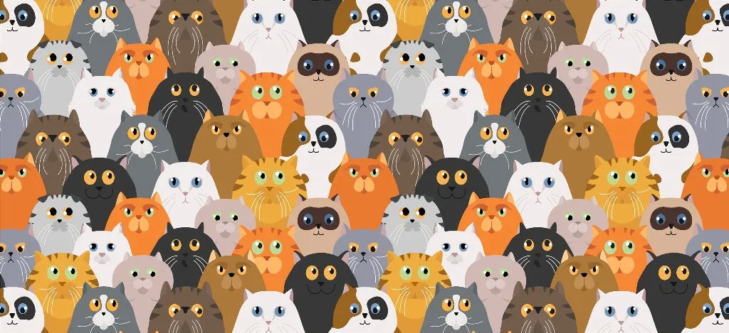 Cat Party Wallpaper Mural