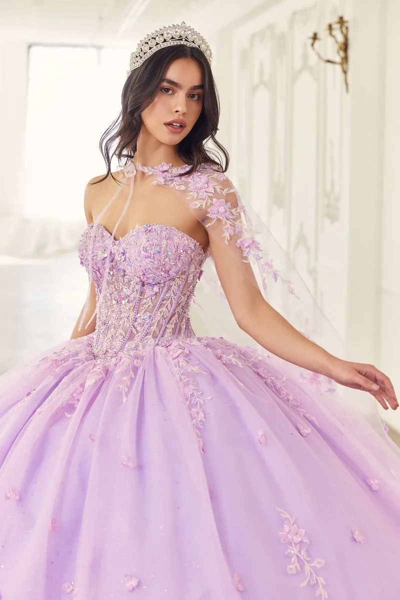 Cinderella Divine- 15723