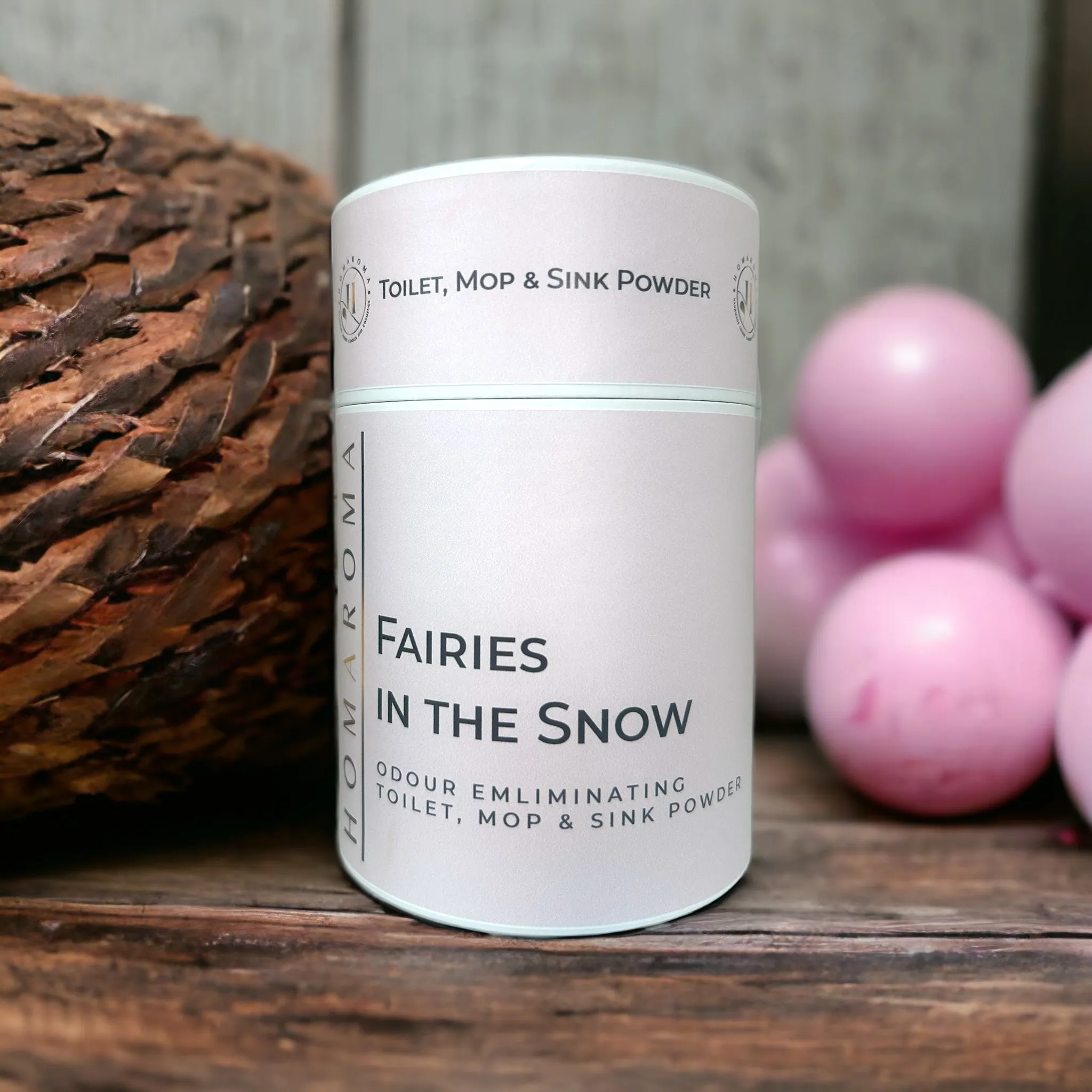 Fairies in the Snow