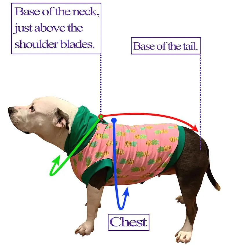 Furry Fairy-Tail Gala Dog Gown - 2 Styles WITH & WITHOUT Attachable Train
