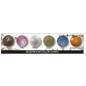 Glass Fairy Mushroom Log Lamp Night Light & Ambient Lighting by Sage Churchill-Foster, Sage Studios
