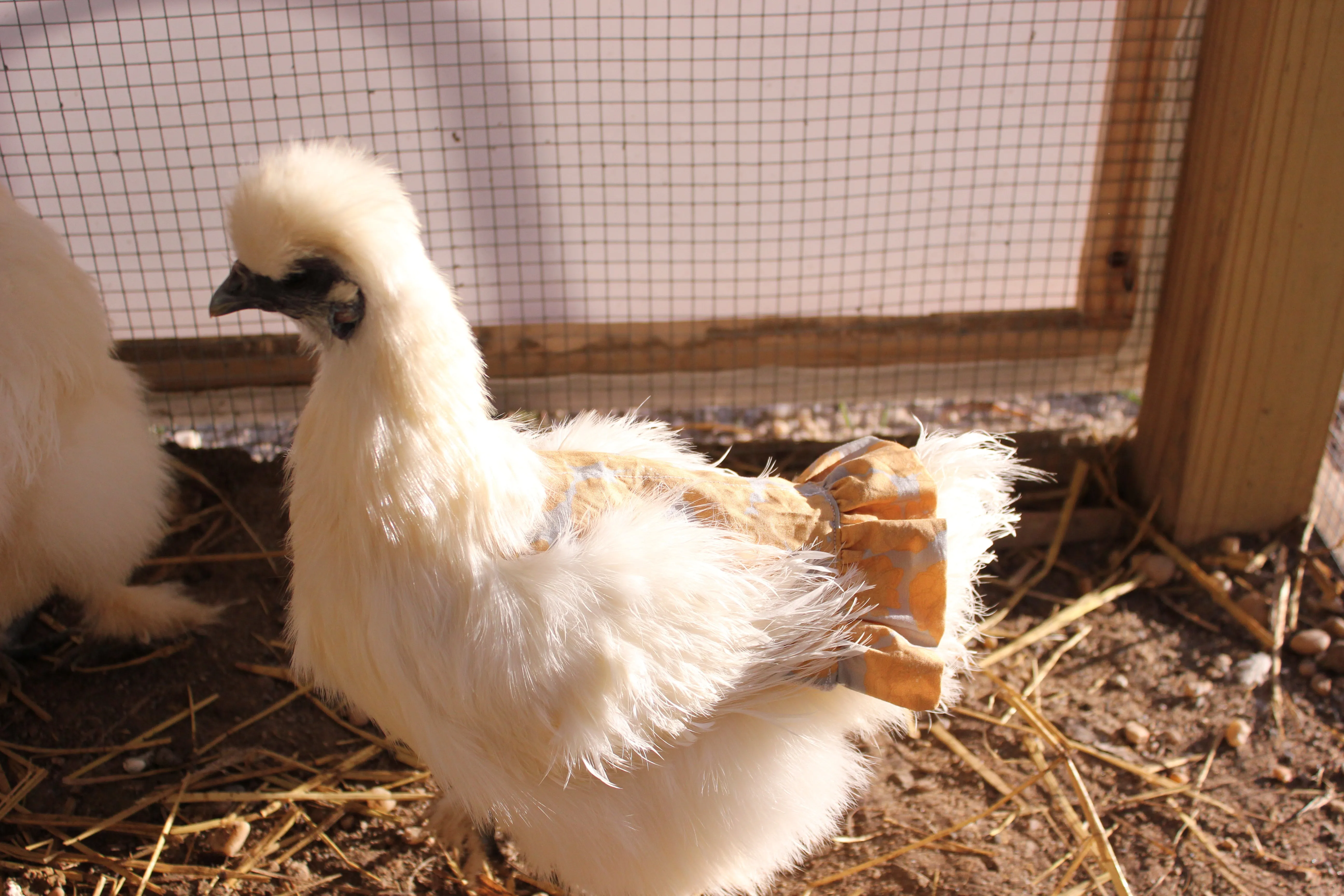 Hen Protector - Ruffle Wild