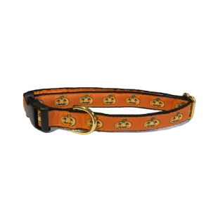 Mackenzie Collar Halloween Pumpkins
