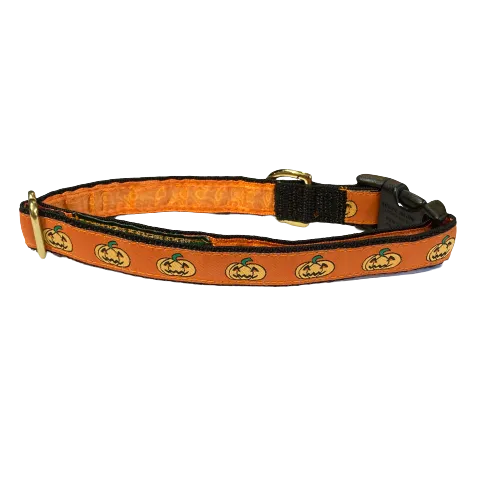 Mackenzie Collar Halloween Pumpkins