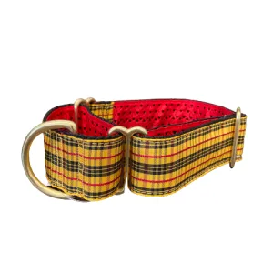 Mackenzie Martingale Collar MacLeod