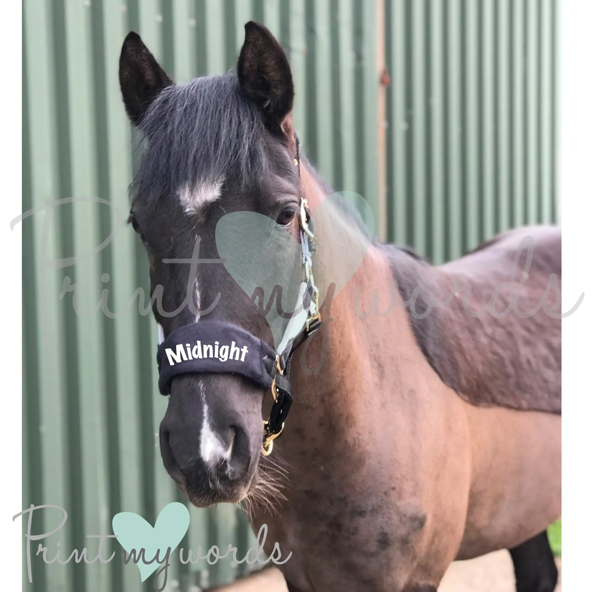 Personalised Anatomical Headcollar And Leadrope Set - Marker Design