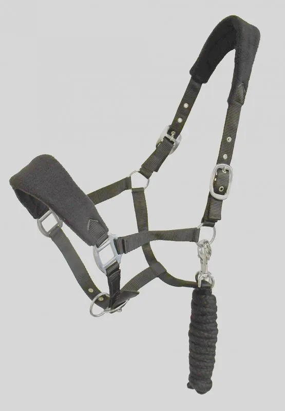 Personalised Anatomical Headcollar And Leadrope Set - Marker Design