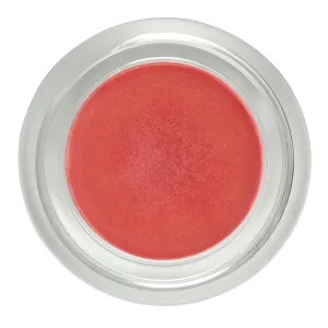 Pink Lady's Slipper Shimmer