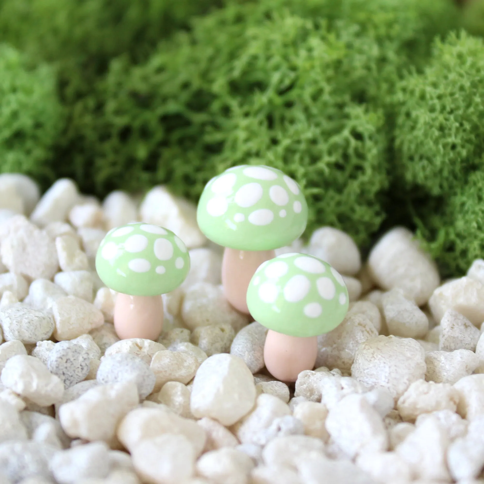 Pistachio Toadstools (Set of 4)