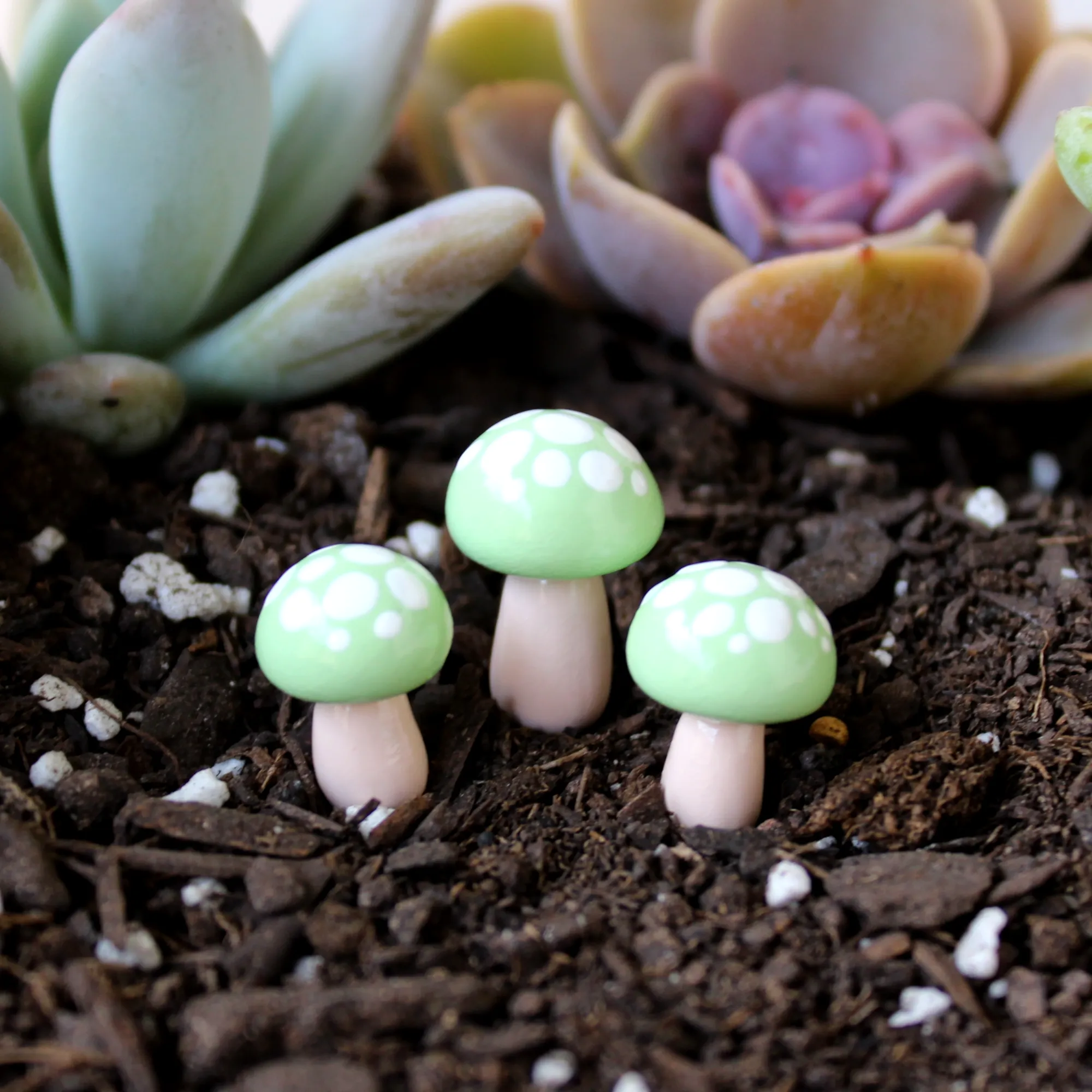 Pistachio Toadstools (Set of 4)