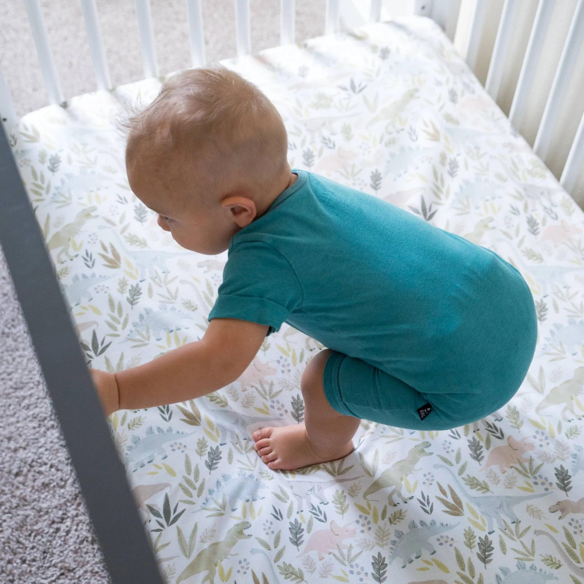 Premium Knit Fitted Crib Sheet - Rex