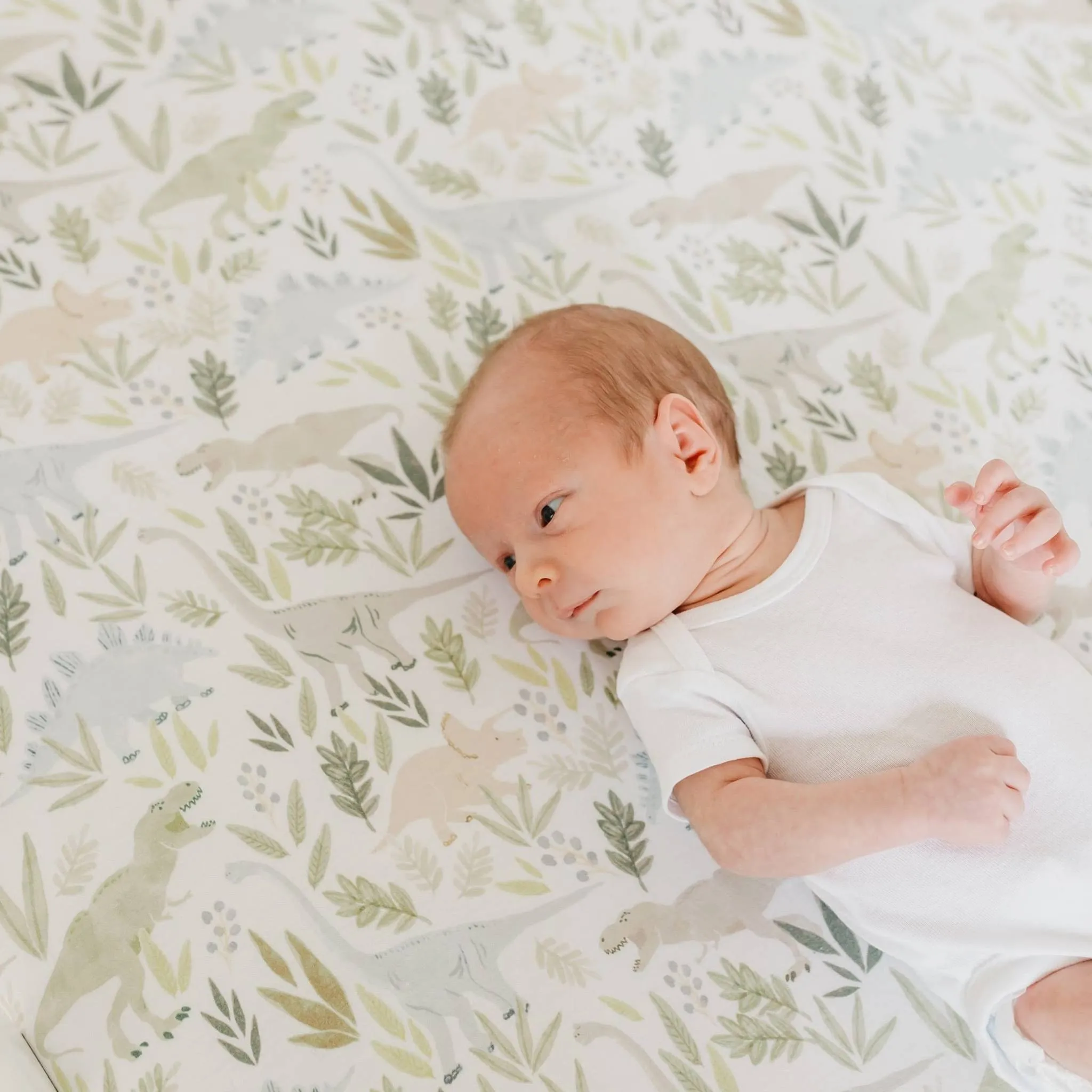 Premium Knit Fitted Crib Sheet - Rex