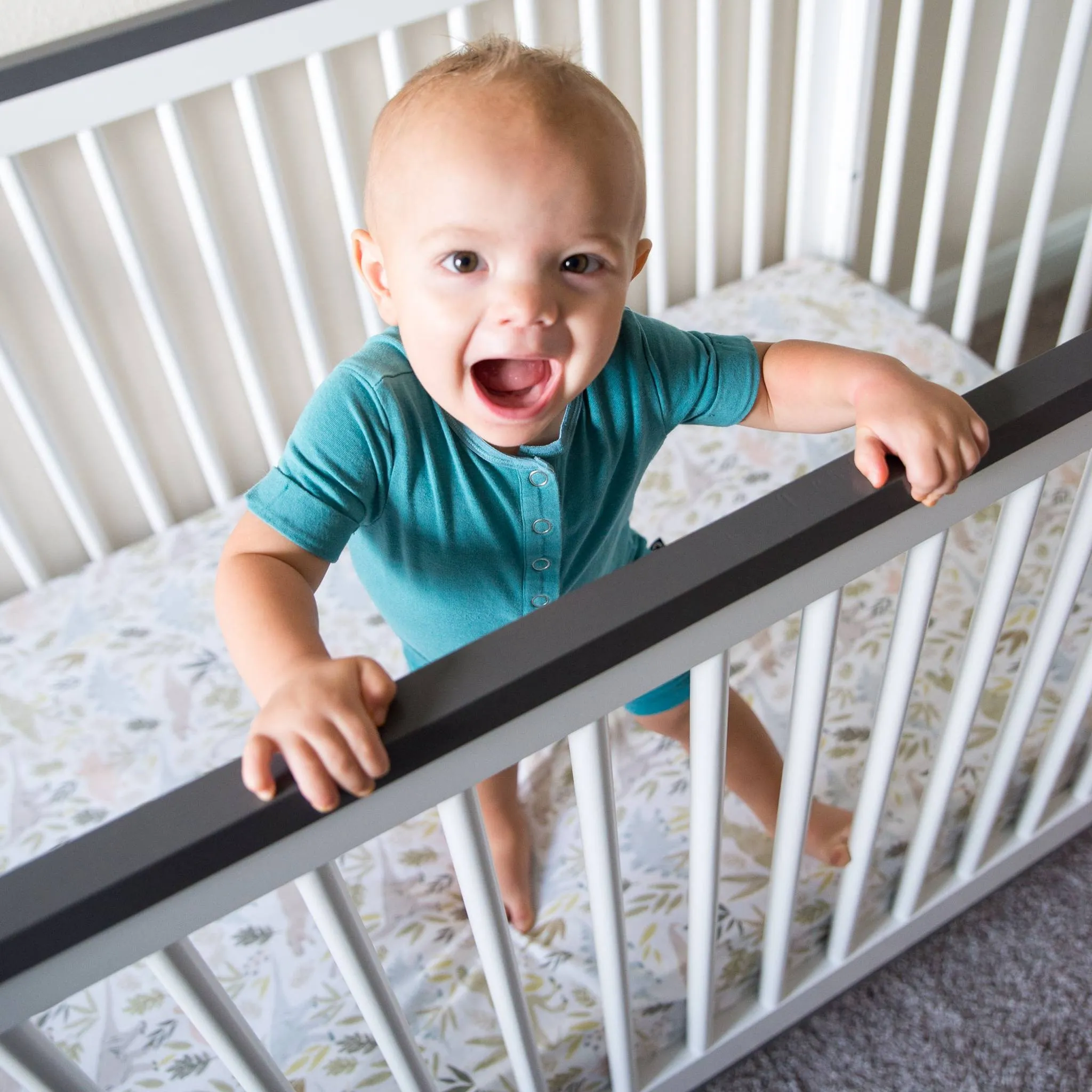 Premium Knit Fitted Crib Sheet - Rex