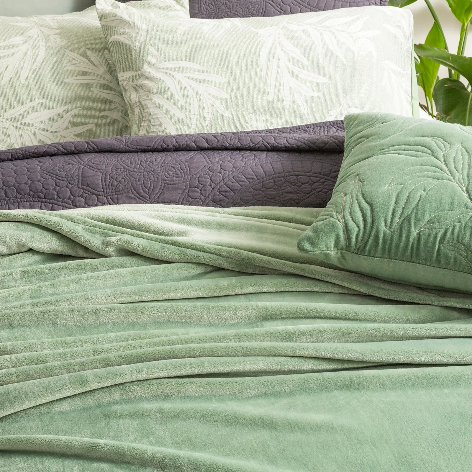 Renee Taylor Plush 380 GSM Ultra Soft Velvet Blanket - EUCALYPTUS