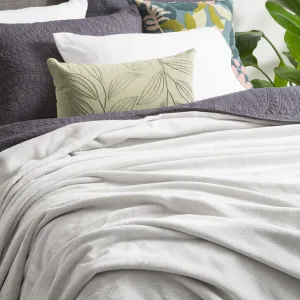 Renee Taylor Plush 380 GSM Ultra Soft Velvet Blanket - SILVER LINE