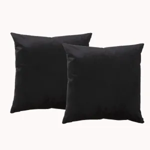 Renee Taylor Poly Velvet Printed Cushion filled 50 x 50 Cms  Black Beauty- Twin Pack
