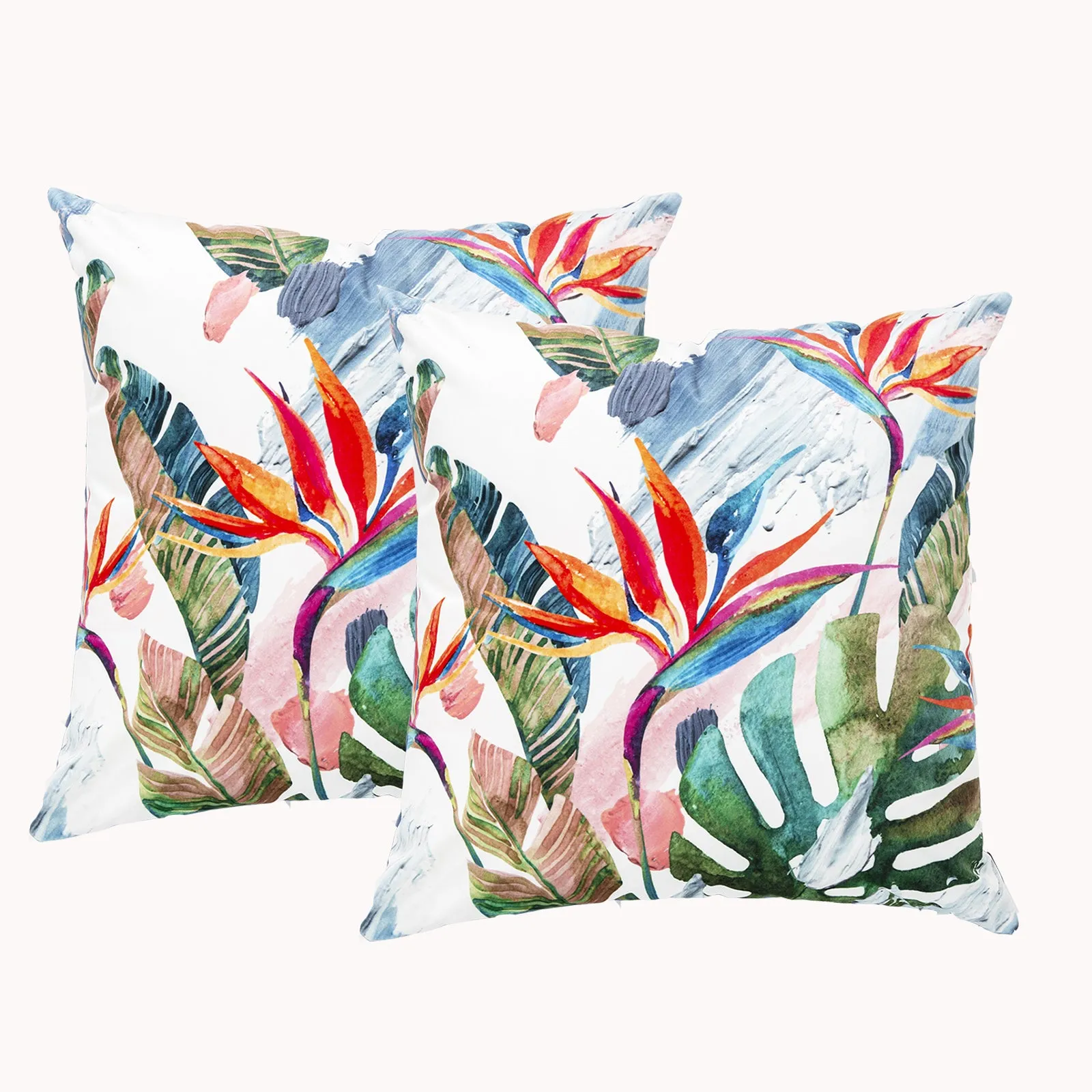 Renee Taylor Poly Velvet Printed Cushion filled 50 x 50 Cms  Paradise- Twin Pack