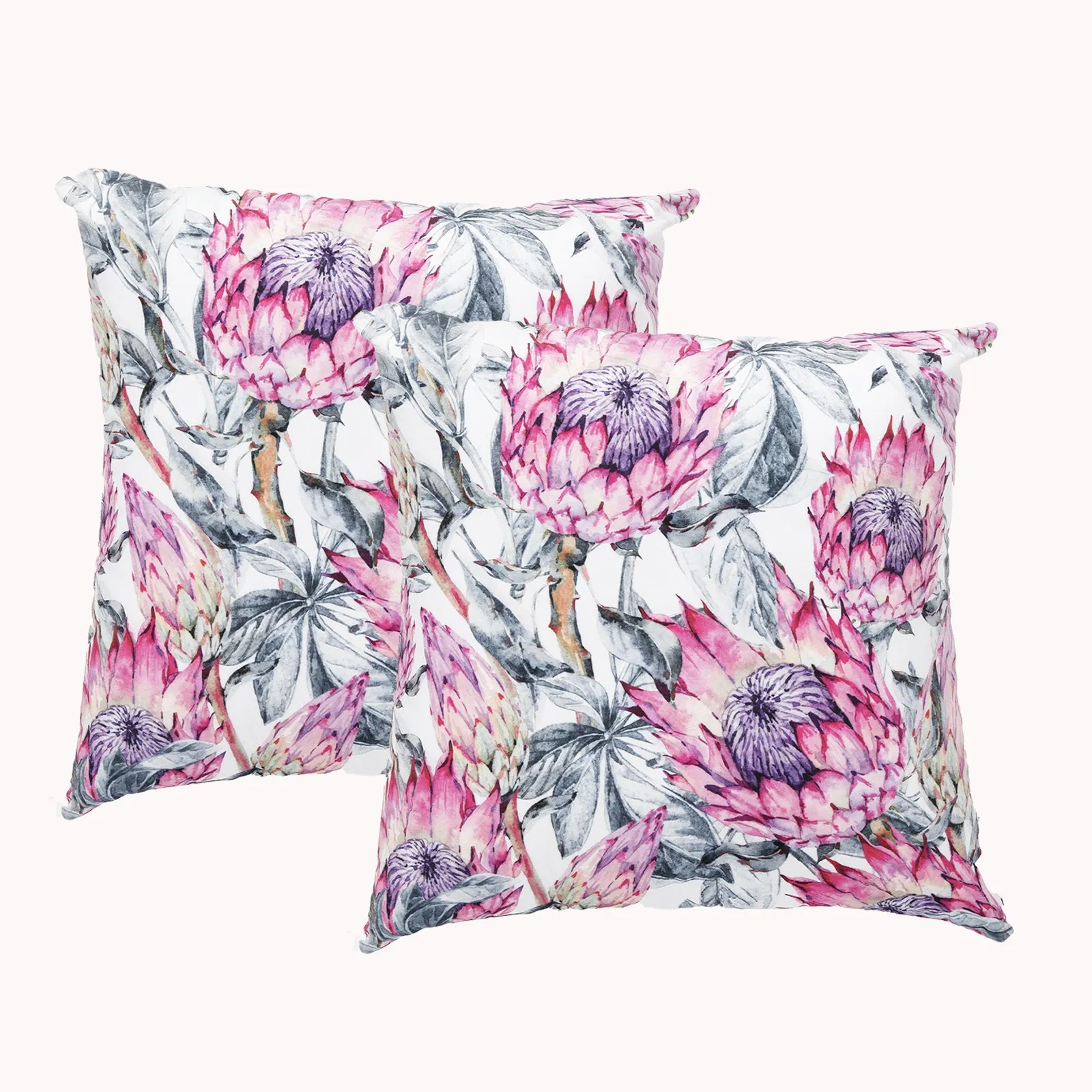 Renee Taylor Poly Velvet Printed Cushion filled 50 x 50 Cms  Protea- Twin Pack
