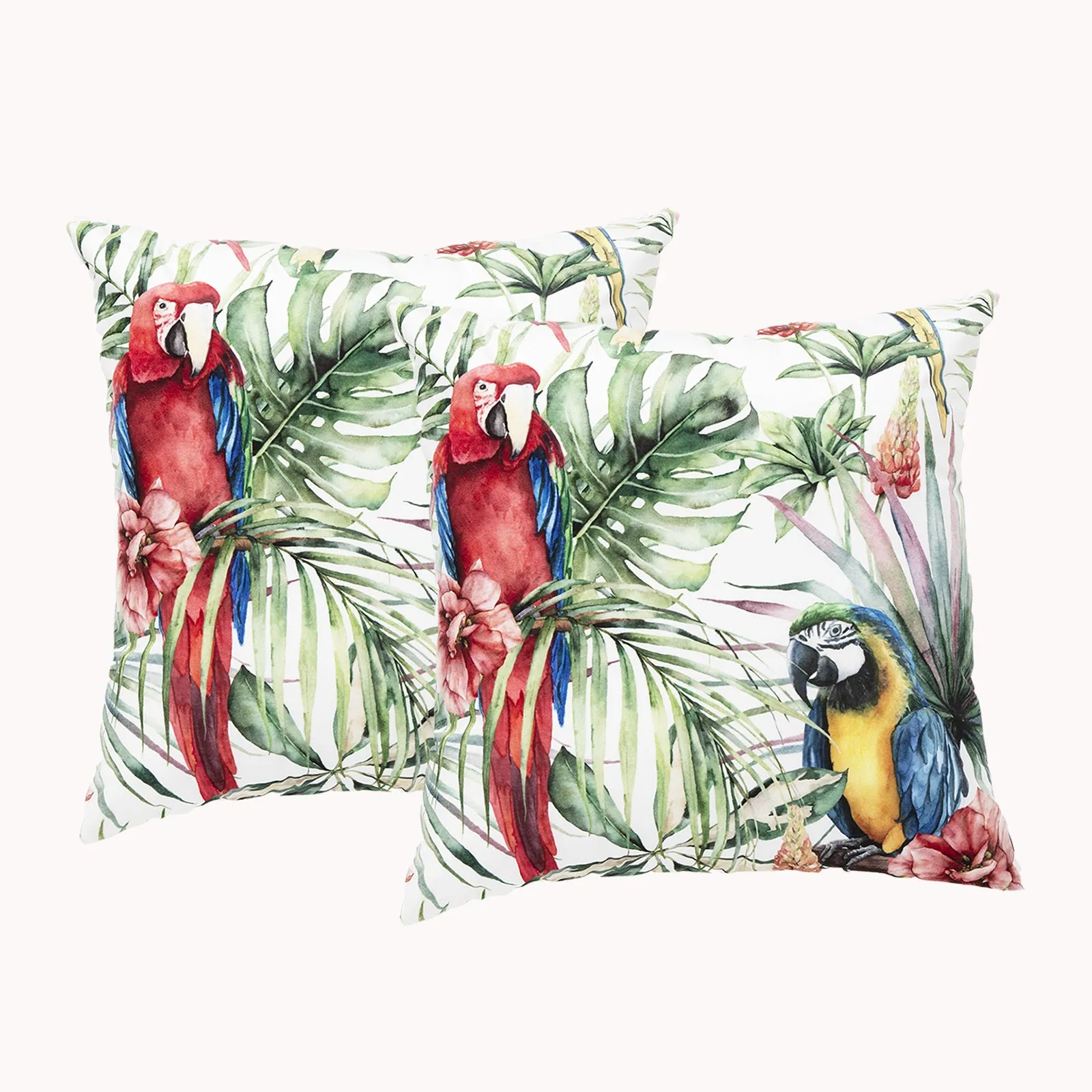Renee Taylor Poly Velvet Printed Cushion filled 50 x 50 Cms  Tropical- Twin Pack
