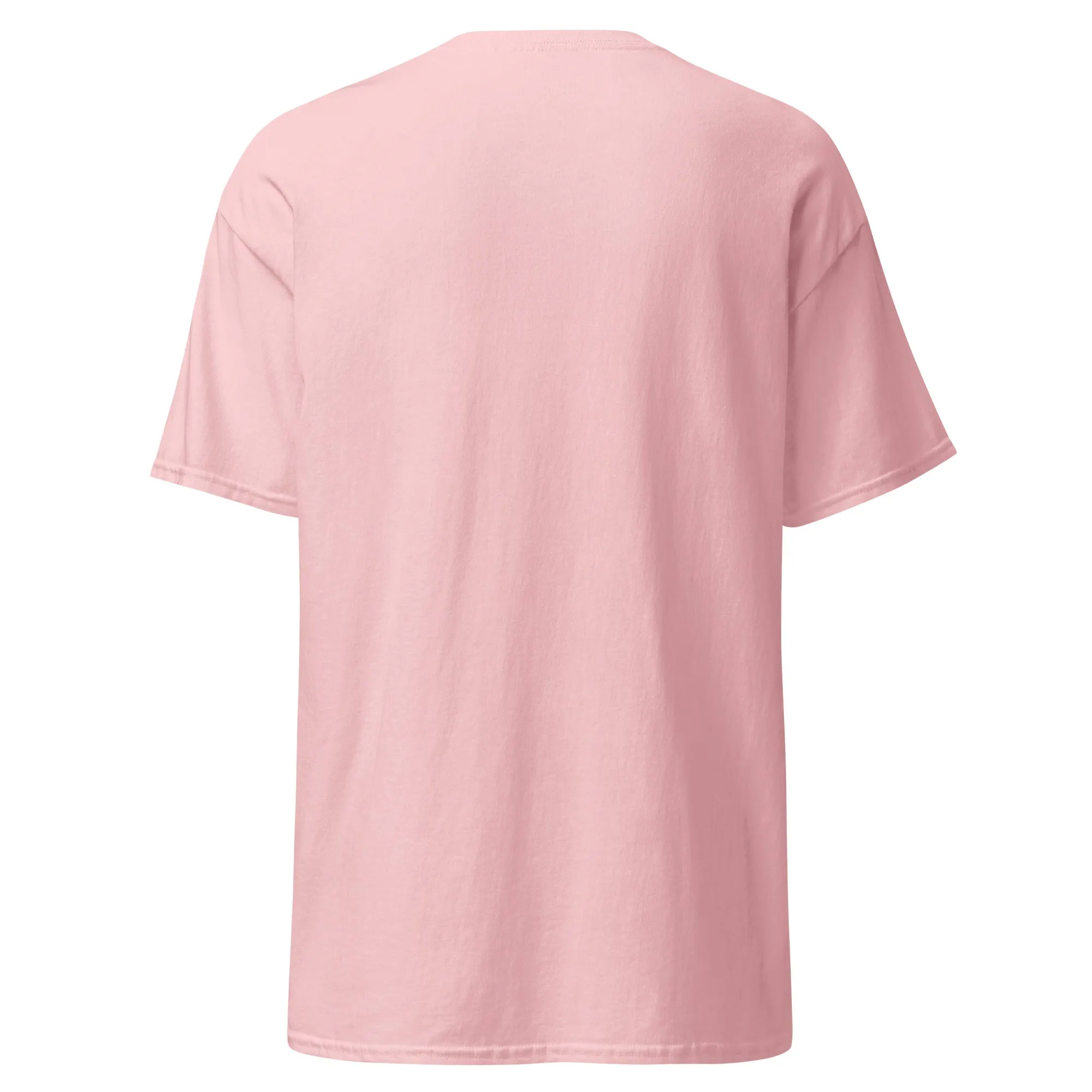 Unisex classic tee