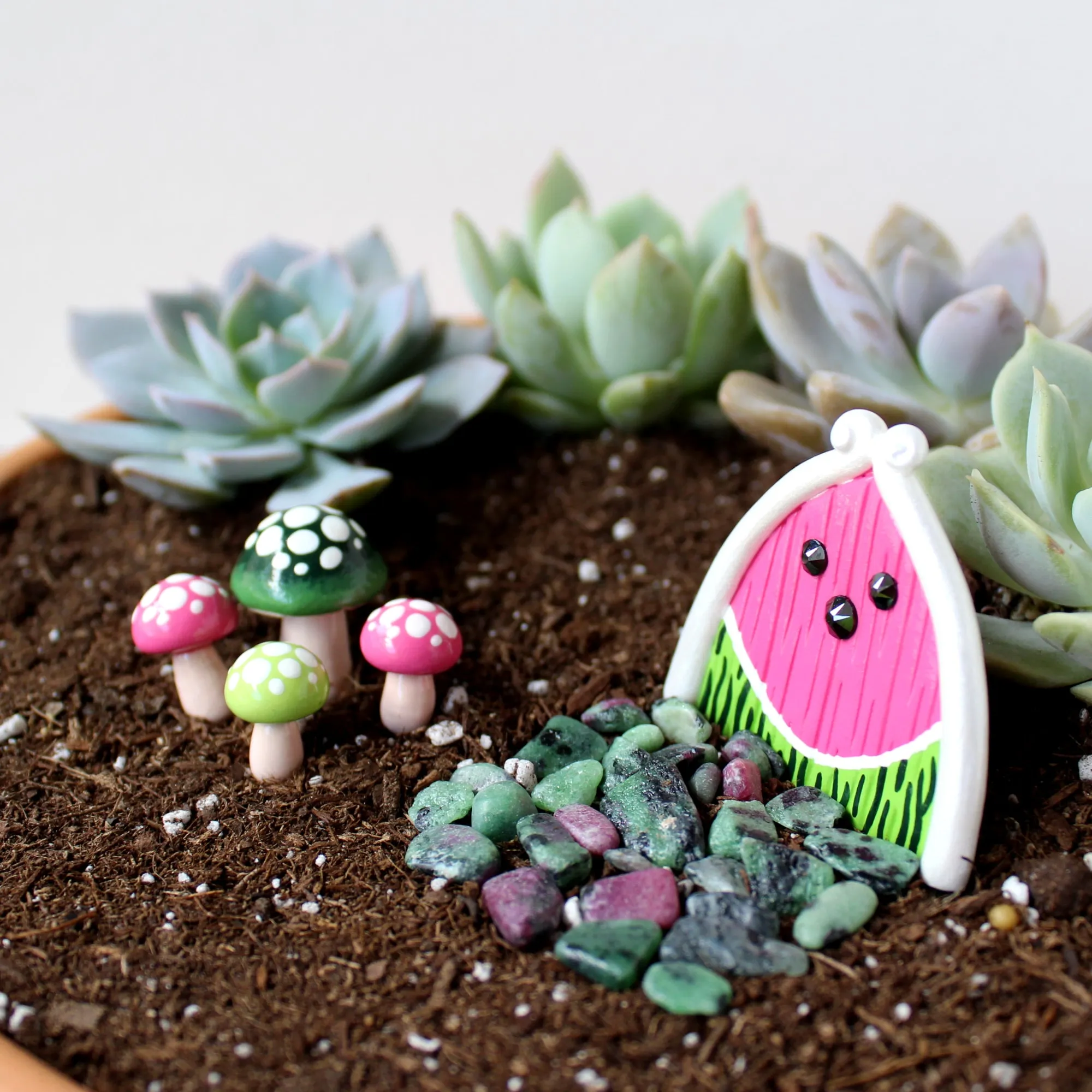 Watermelon Fairy Garden Kit
